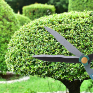 Garden Scissor – Ergonomic Pruning & Trimming Tool | Indo Glow