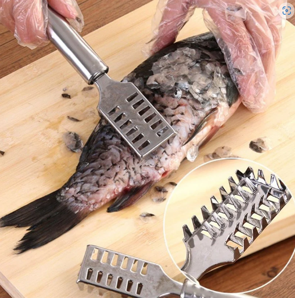 Fish Scale Remover – Sawtooth Stainless Steel Scraper | Quickslice