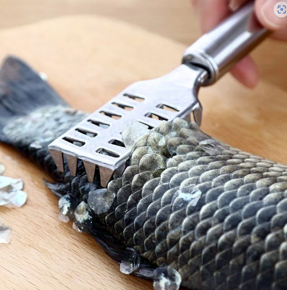 Fish Scale Remover – Sawtooth Stainless Steel Scraper | Quickslice