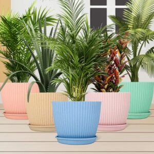 Plastic Flower Pot Set – 5 Durable Planters with Trays | Indo Glow