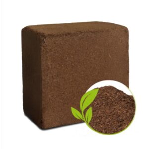 Organic Cocopeat Block – 1 KG Potting Mix for Plants | Styleva