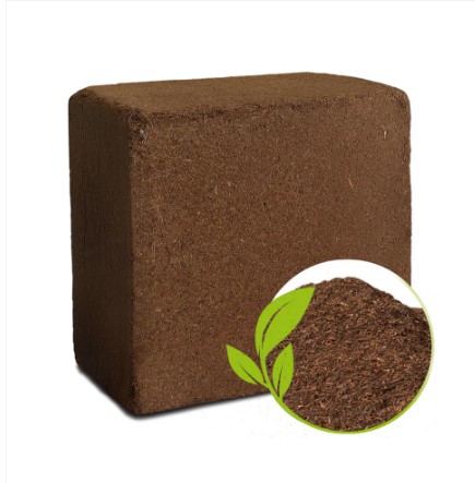 Organic Cocopeat Block – 1 KG Potting Mix for Plants | Styleva