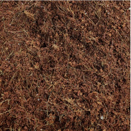 Organic Cocopeat Block – 1 KG Potting Mix for Plants | Styleva - Image 5