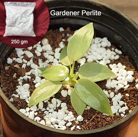 Perlite Soil Conditioner – Enhances Root Growth & Drainage | Indo Glow - Image 3