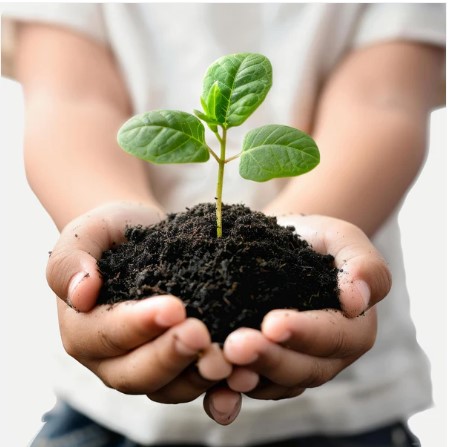 Organic Vermicompost – 1 KG Black Soil Manure for Plants | Grow Vanta - Image 2