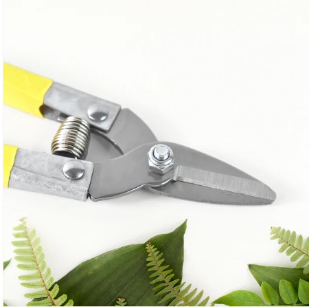 Precision Micro Garden Snip – Sharp Small Pruning Scissor - Image 4