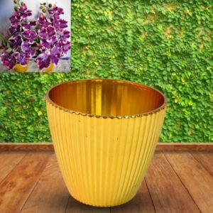 Plastic Flower Valencia Pot – Durable Indoor & Outdoor Planter