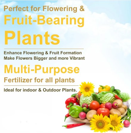Mustard Cake Fertilizer – Organic Plant Growth Booster 900gm - Image 3