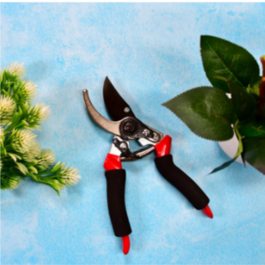 Garden Shears – Sharp Bypass Pruner for Plants | Tidy Roots