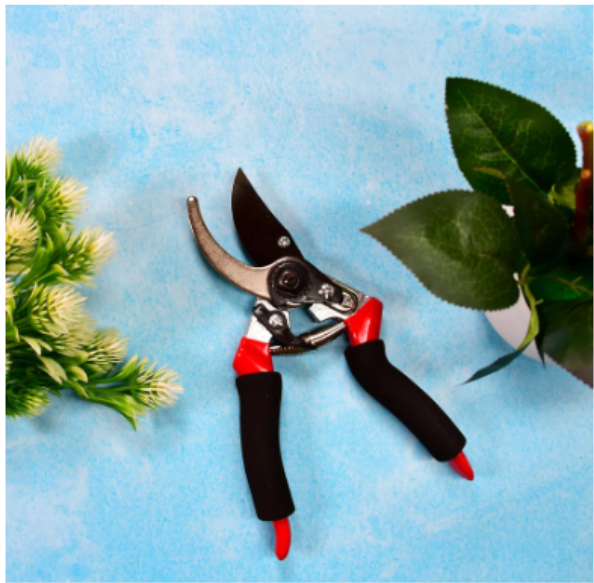 Garden Shears – Sharp Bypass Pruner for Plants | Tidy Roots