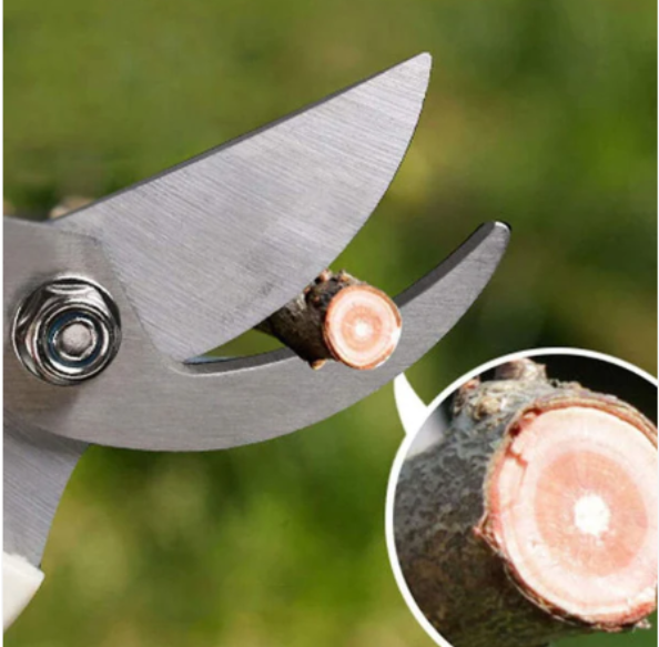 Garden Scissors – Soft Grip Stainless Steel Pruner | Grow Garden Tools - Image 4