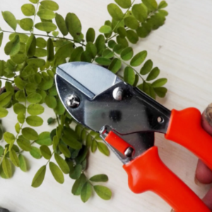 Garden Scissors – 18cm Sharp Blade, Comfortable Handle | Indo Glow