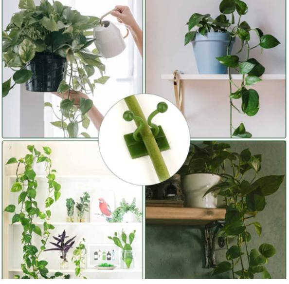 Wall Plant Clips – 30 Pcs Self-Adhesive Support - Image 3