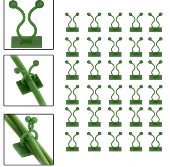 Wall Plant Clips – 30 Pcs Self-Adhesive Support - Image 4