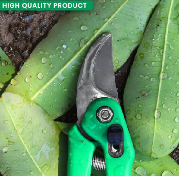 Garden Shears – Sharp Stainless Steel Bypass Pruners | Cisora - Image 4