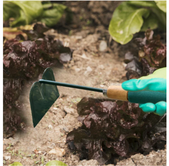 Gardening Hoe – Durable Carbon Steel Hand Tool for Weeding | ToolMate Pro