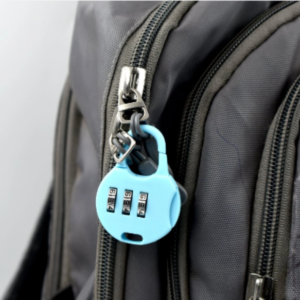 Luggage