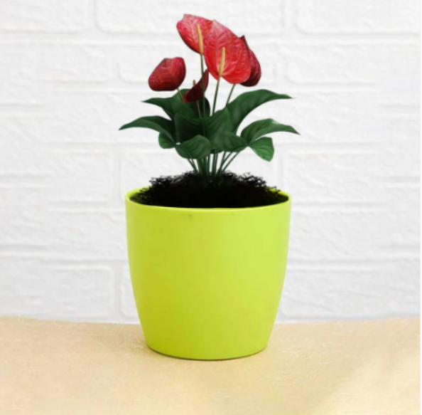 Round Plastic Planters