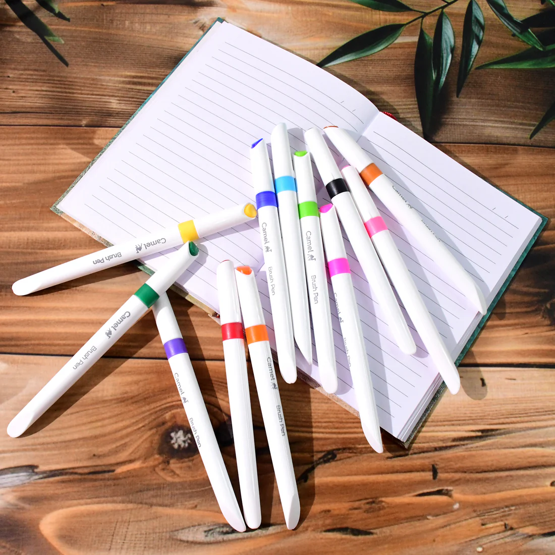 Camel Brush Pens – 12 Vibrant Colors with Flexible Tips