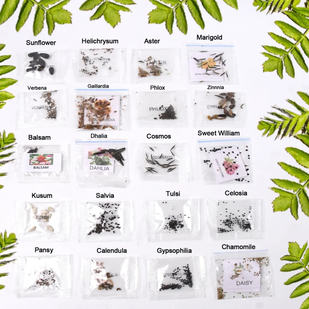 Flower Seeds Combo