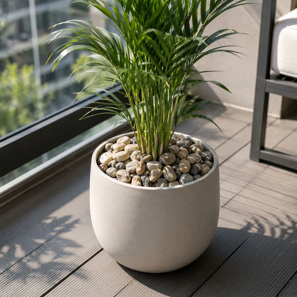 Decorative River Pebbles – Versatile Natural Stones for Indoor & Outdoor - Image 4