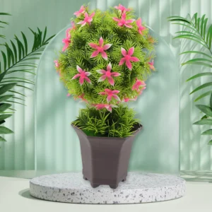 Cute Pot