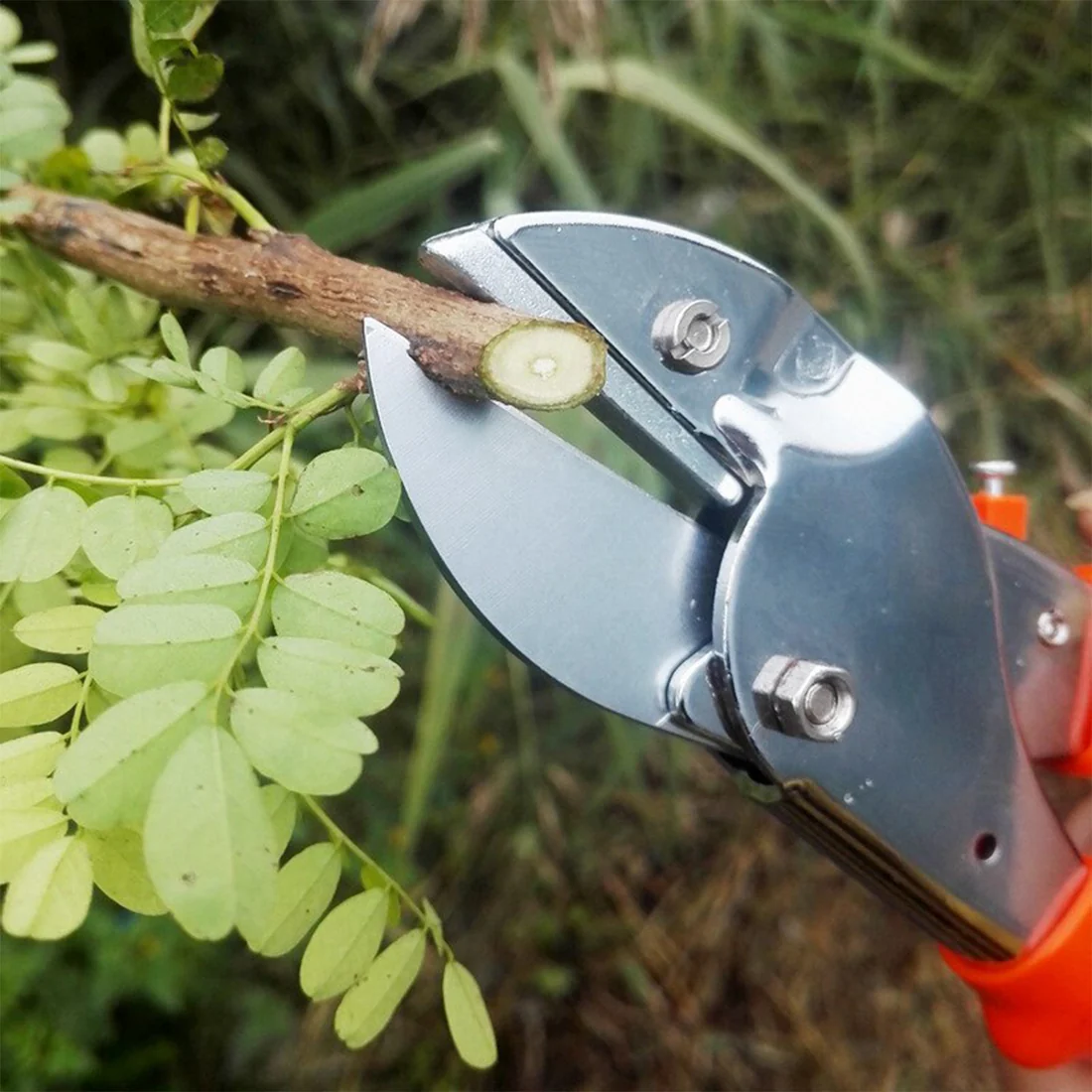 Garden Scissors – 18cm Sharp Blade, Comfortable Handle