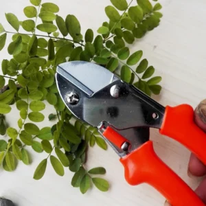 Garden Scissors – 18cm Sharp Blade, Comfortable Handle