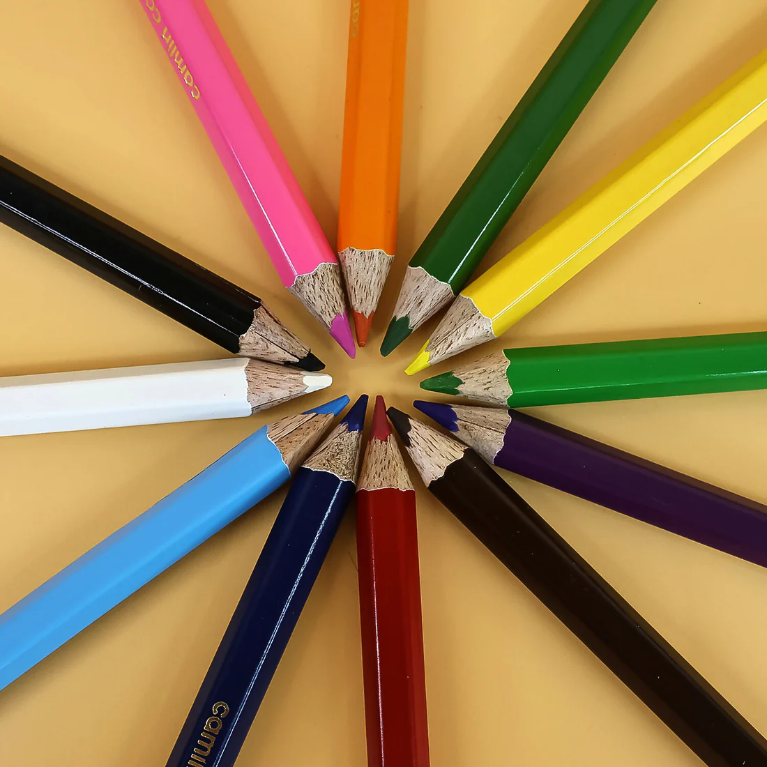 Camlin Colour Pencils – 12 Bright Shades with Smooth Blending & Free Sharpener