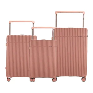 Luggage Set