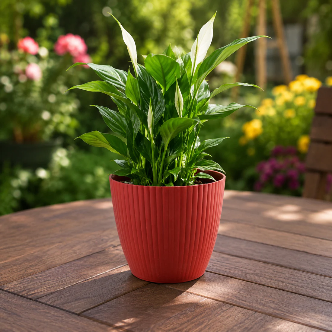 Plastic Flower Pots – Durable Round Planters for Home & Garden | Plant Edge - Image 3