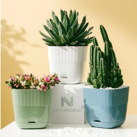 Square Flower Pot Set – Pack of 5 Durable Multi-Color Pots - Image 2