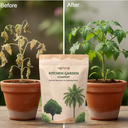 Kitchen Garden Compost – Natural Nutrients for Healthy Plants