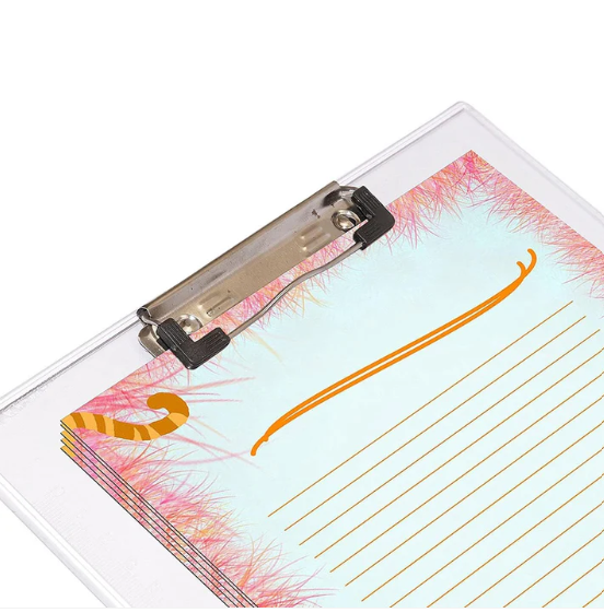 Transparent Exam Pad – Unbreakable with Centimeter Ruler | Indo Glow - Image 2