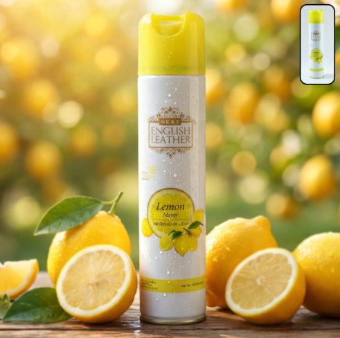 Premium Air Freshener Spray – Long Lasting Freshness 220ML