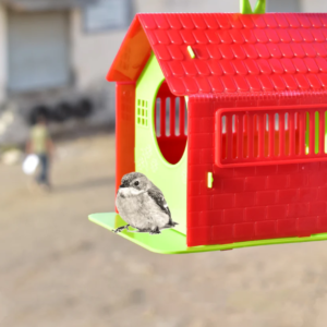 Wooden Bird House for Small Garden Birds & Sparrows | Garden Vera