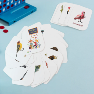 Bird Flashcards – 32 Realistic Educational Cards for Kids