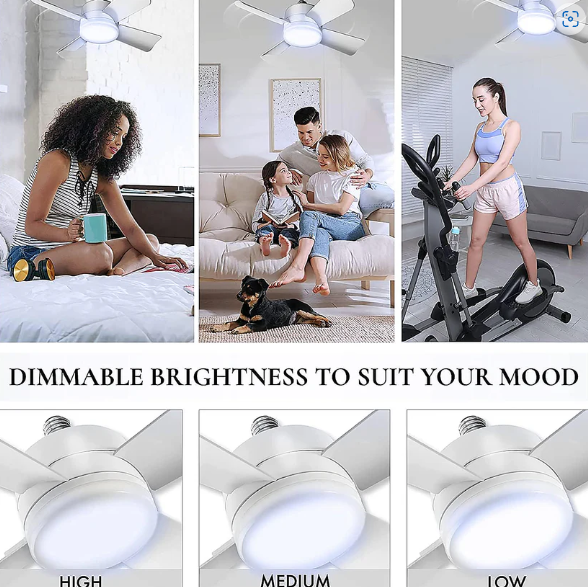 Ceiling Fan & LED Light – Space-Saving Cooling & Bright Illumination