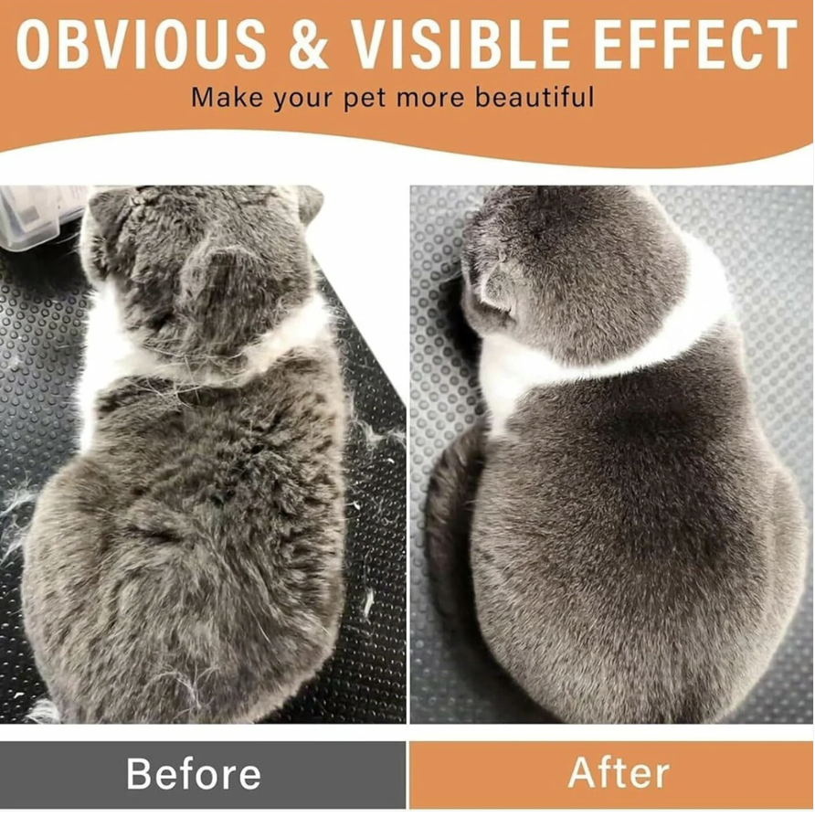 Electric Pet Steam Brush – Hair Removal & Massage | Calm & Curl