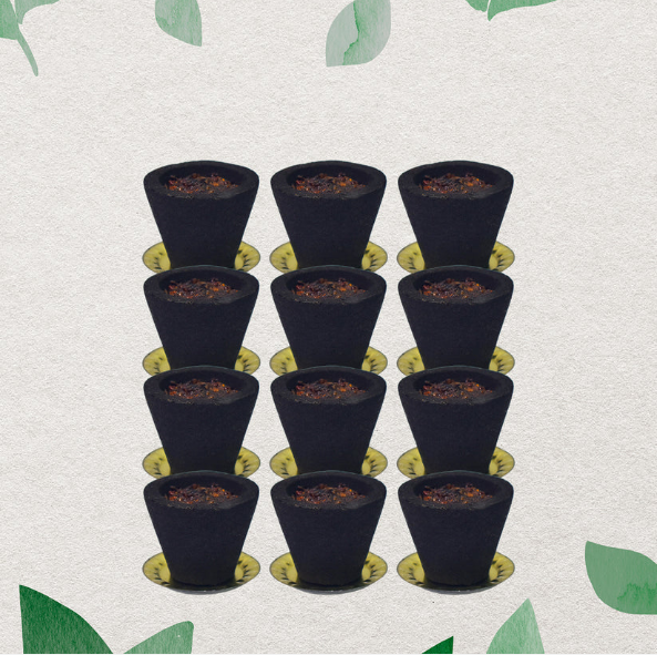 Gugal Sambrani Cups – 12 Pc Havan Set for Pooja | Indo Glow