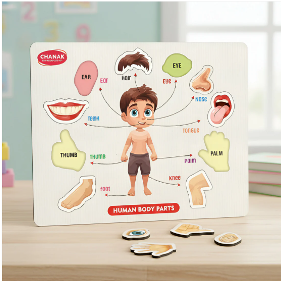Wooden Human Body Parts Puzzle – Engaging Early Learning Toy for Kids