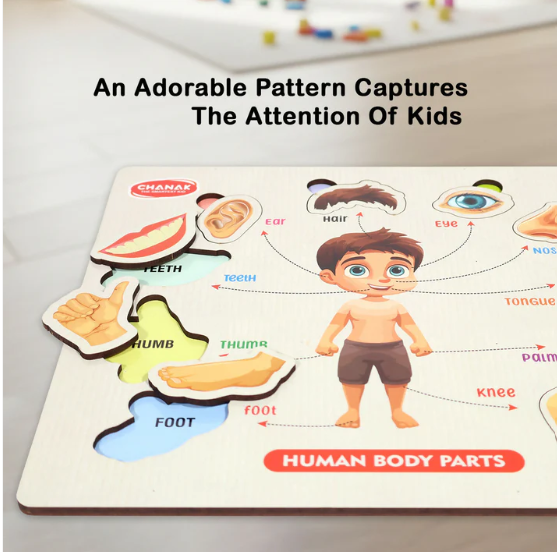 Wooden Human Body Parts Puzzle – Engaging Early Learning Toy for Kids - Image 2