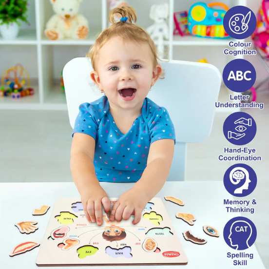 Wooden Human Body Parts Puzzle – Engaging Early Learning Toy for Kids - Image 3