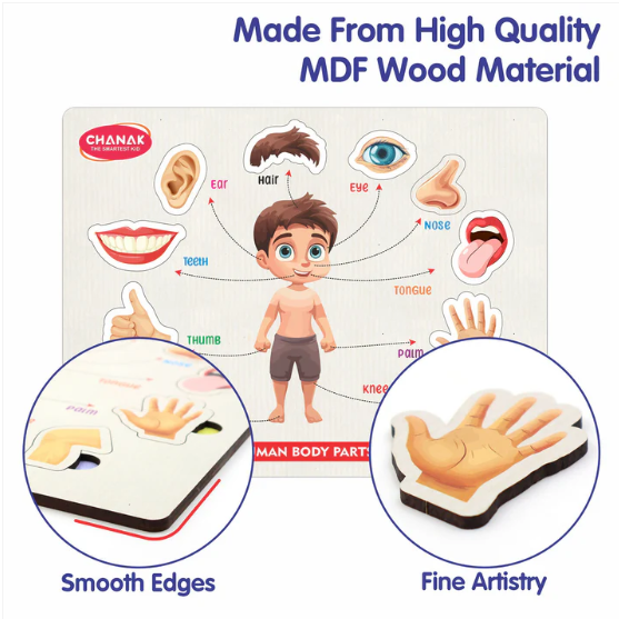 Wooden Human Body Parts Puzzle – Engaging Early Learning Toy for Kids - Image 4