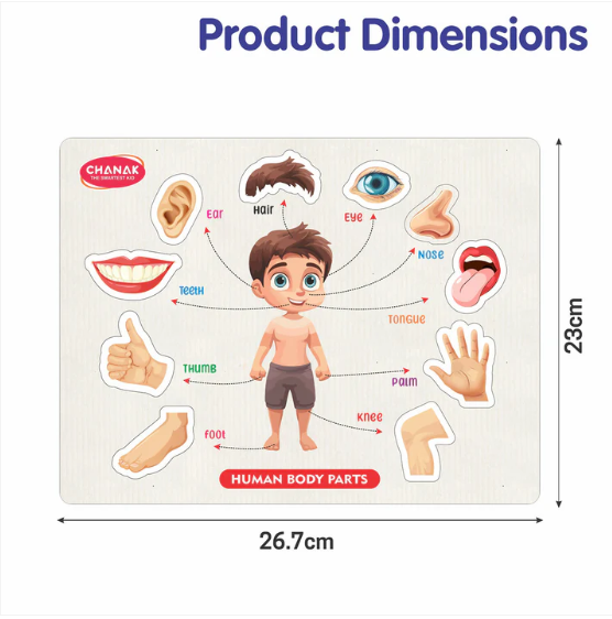 Wooden Human Body Parts Puzzle – Engaging Early Learning Toy for Kids - Image 5