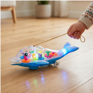 Colorful Musical Light-Up Dolphin Toy – Engage & Educate Kids
