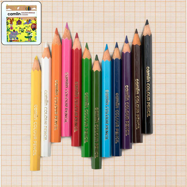 Camlin Colour Pencils – 12 Bright Shades with Smooth Blending & Free Sharpener
