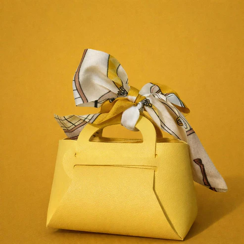 Handbag Organizer