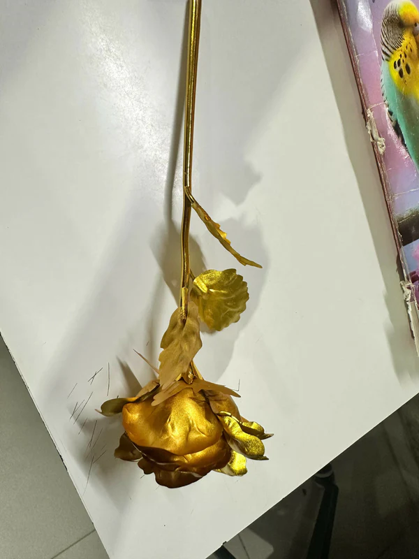 Golden Roses Set of 3 – Elegant 24K Gold Foil Forever Roses - Image 5