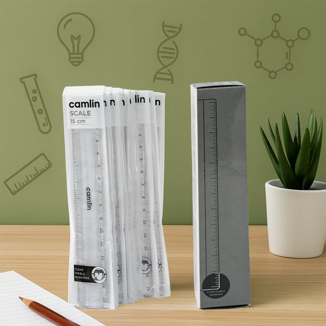 Plastic Scale 15 cm – Transparent, Durable Pack of 10